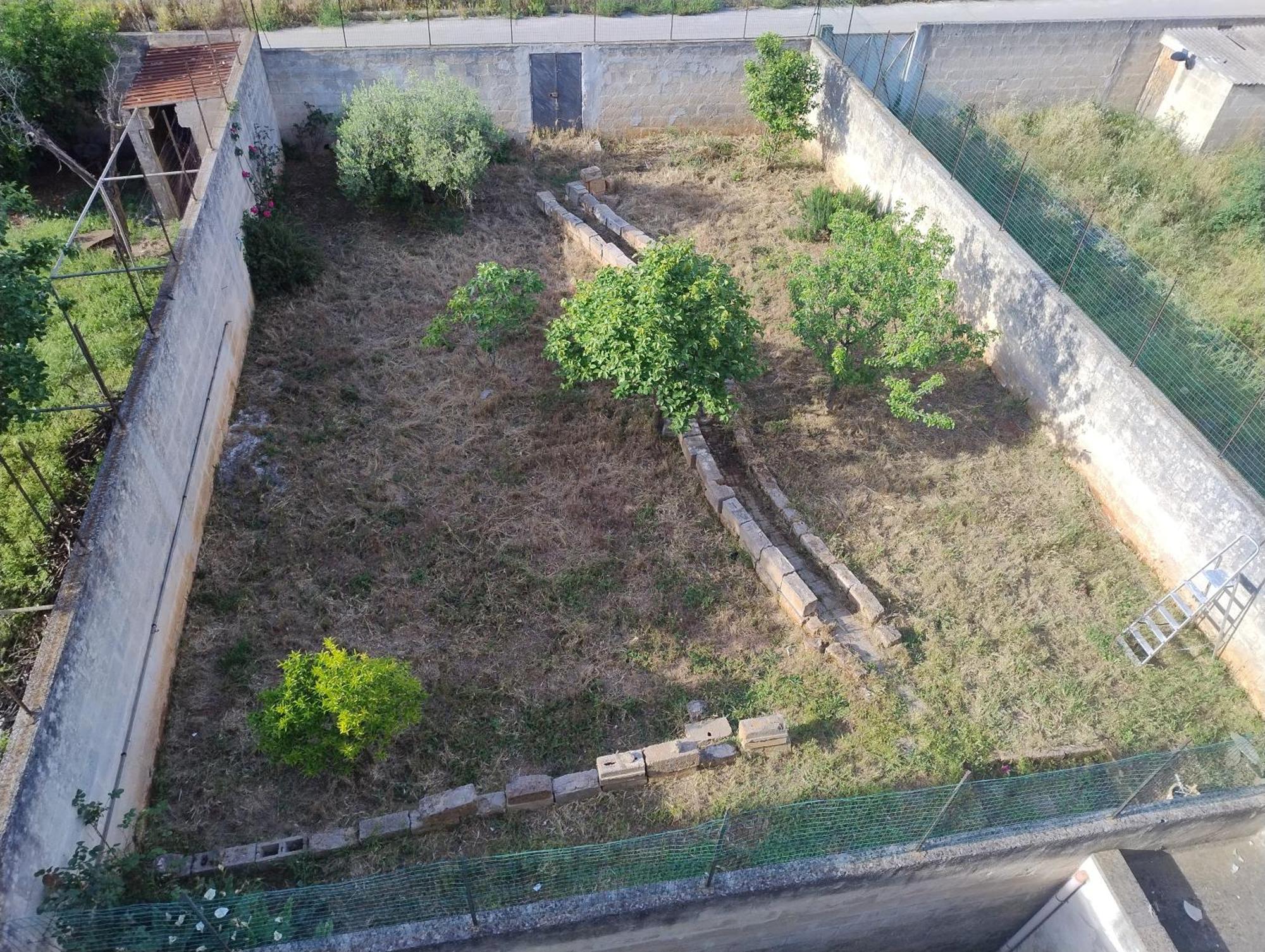 Favolosa Casa Con Terrazza, Idromassaggio, Cortile E Garage Auto Carovigno Exteriér fotografie